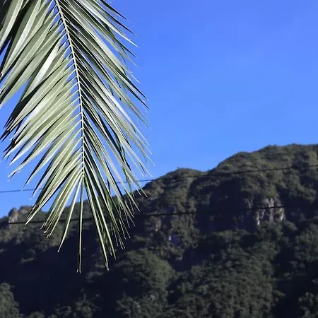 Mountain Retreat Ferienhaus Boaventura